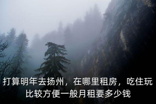揚(yáng)州雙子星房租多少錢一年,一般月租要多少錢