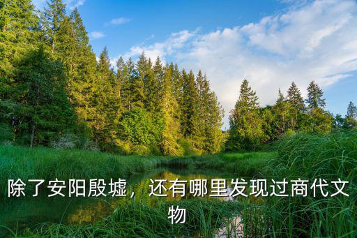 安陽哪里有殷墟,除了安陽殷墟