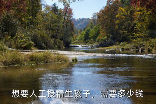 南京婦幼人工授精要多少錢一次,人工受孕要多少錢才行