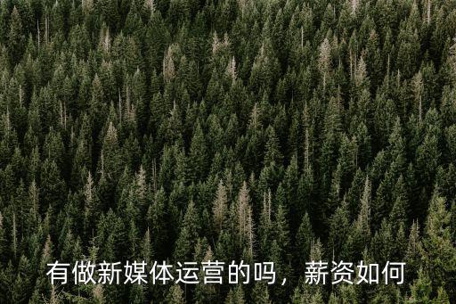 南京新媒體運營一般工資是多少,新媒體運營工資水平是多少