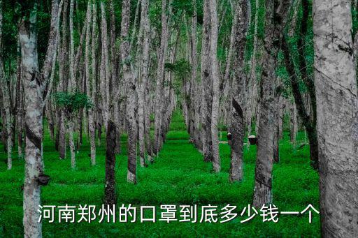 河南鄭州的口罩到底多少錢一個