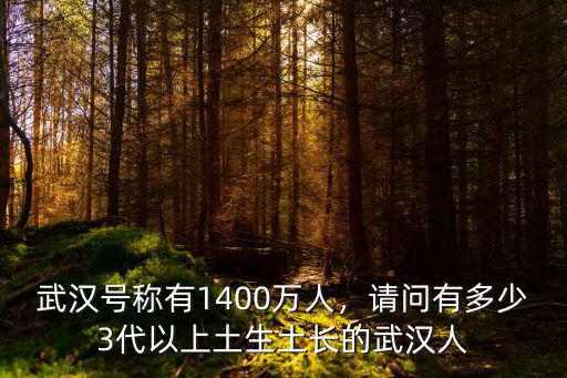 有多少武漢人在南通,武漢人的祖籍大多在哪里
