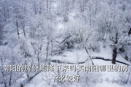 南陽最低房價在哪里,南陽的房價能降下來嗎