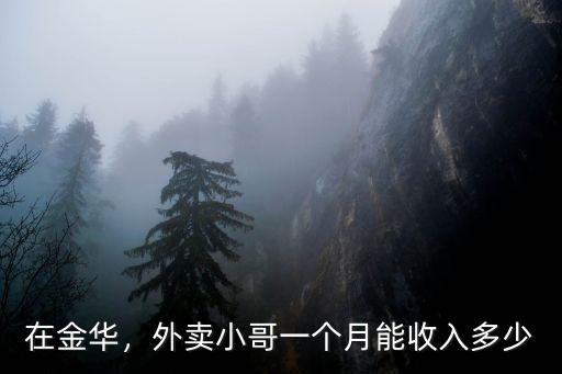 蘇州園區送外賣一個月能賺多少,送外賣一個月能賺多少