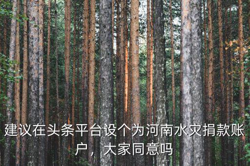 河南洪災(zāi)滴滴平臺捐款多少錢,河南洪災(zāi)你捐款了嗎