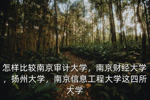 怎樣比較南京審計大學(xué)，南京財經(jīng)大學(xué)，揚(yáng)州大學(xué)，南京信息工程大學(xué)這四所大學(xué)