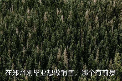 鄭州藍(lán)鷗畢業(yè)怎么樣,在鄭州剛畢業(yè)想做銷售
