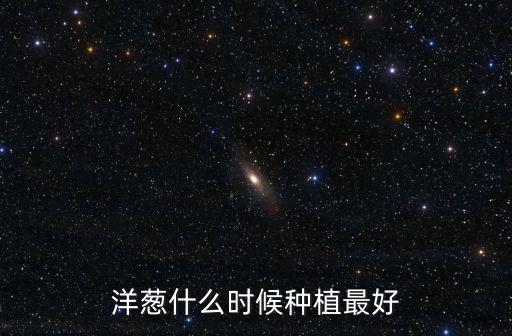 河南的洋蔥種植在哪里,想在河南種植大蔥