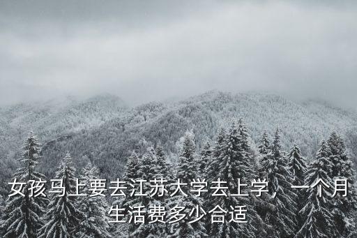 江蘇大學(xué)共有多少大學(xué)生,女孩馬上要去江蘇大學(xué)去上學(xué)
