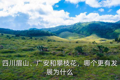攀枝花廣安鋅鋼護欄加工哪里有,廣安和攀枝花