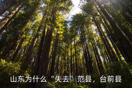 河南省范縣滯洪區在哪里,河南省啟動蓄滯洪區補償