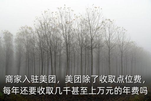 商家入駐美團，美團除了收取點位費，每年還要收取幾千甚至上萬元的年費嗎