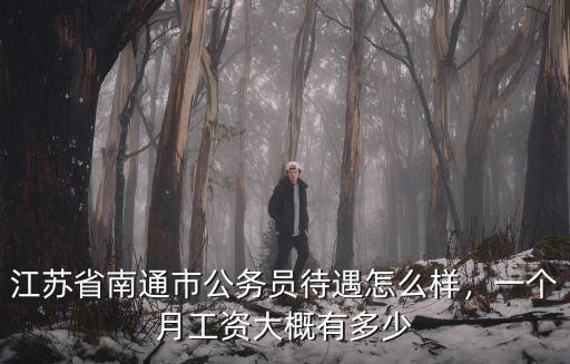 江蘇省南通市公務員待遇怎么樣，一個月工資大概有多少