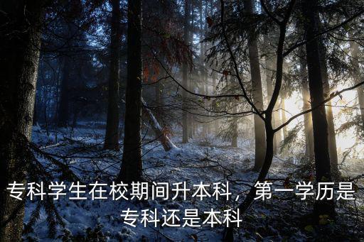 專科學生在校期間升本科，第一學歷是專科還是本科