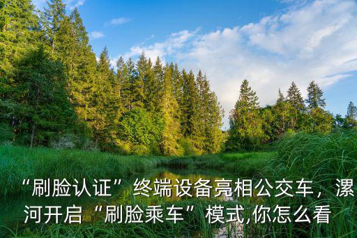 “刷臉認證”終端設備亮相公交車，漯河開啟“刷臉乘車”模式,你怎么看