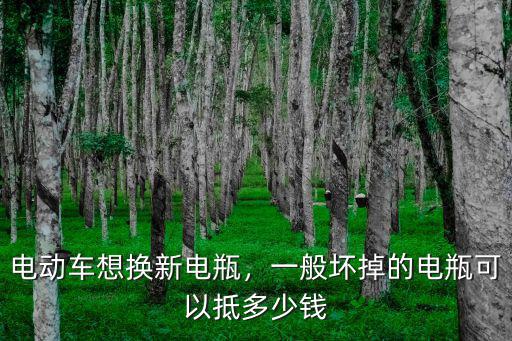 鎮(zhèn)江電動(dòng)車換電瓶多少錢,電動(dòng)車想換新電瓶