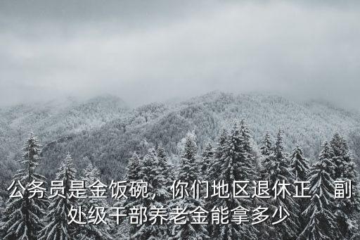 公務員是金飯碗，你們地區退休正、副處級干部養老金能拿多少