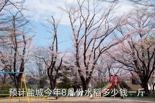 預(yù)計(jì)鹽城今年8月份水稻多少錢一斤