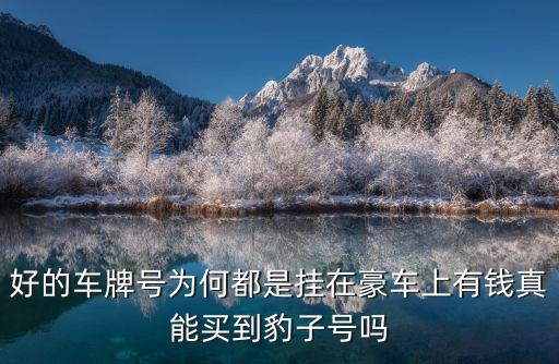 徐州車牌號豹子號賣多少錢,你會為了錢賣它嗎