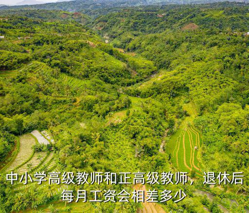 中小學(xué)高級(jí)教師和正高級(jí)教師，退休后每月工資會(huì)相差多少