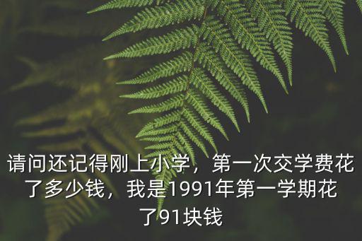 請問還記得剛上小學，第一次交學費花了多少錢，我是1991年第一學期花了91塊錢