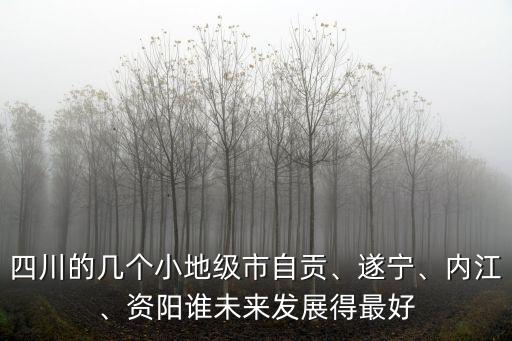 內江跟資陽哪里發展前景好,你看好資陽的發展前景嗎