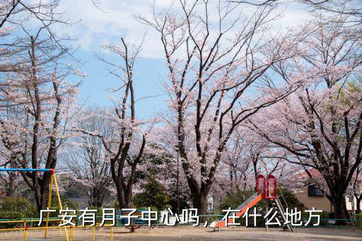 廣安未來中心在哪里,廣安有月子中心嗎