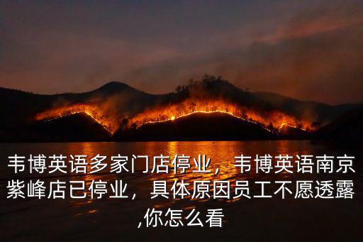 南京韋博英語成年多少,韋博英語南京紫峰店已停業