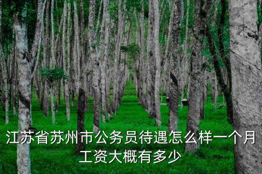 蘇州園區倉管一個月多少錢,都要多少錢啊