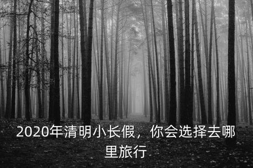 2020年四川清明節看花去哪里,你會選擇去哪里旅行