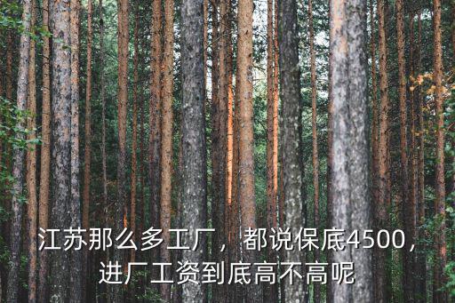 江蘇那么多工廠，都說保底4500，進廠工資到底高不高呢