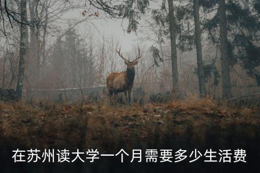 蘇州一個(gè)人一個(gè)月花銷大概多少,一個(gè)月出行成本大概是多少