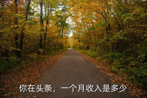 漯河今日頭條月收入多少,你頭條每天收入大約是多少