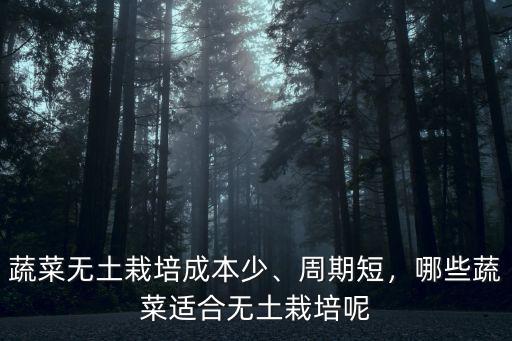 徐州市無土栽培蔬菜多少錢一斤,蔬菜無土栽培成本少