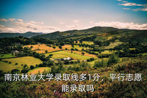 南京林業大學錄取線多1分，平行志愿，能錄取嗎