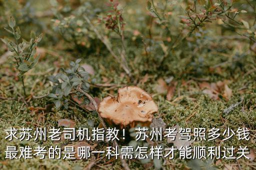 求蘇州老司機指教！蘇州考駕照多少錢最難考的是哪一科需怎樣才能順利過關