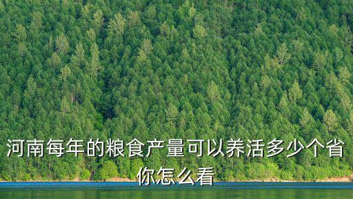河南每年的糧食產量可以養活多少個省你怎么看
