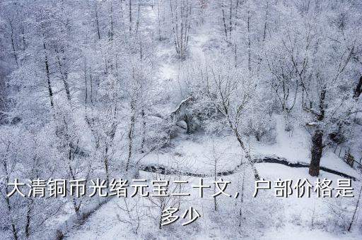 大清銅幣光緒元寶二十文，戶部價格是多少