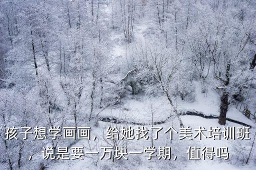 鹽城兒童學畫畫培訓班一學期多少錢,說是要一萬塊一學期