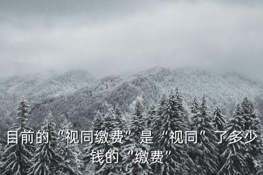 目前的“視同繳費”是“視同”了多少錢的“繳費”