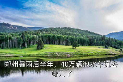 鄭州暴雨后半年，40萬輛泡水車流去哪兒了