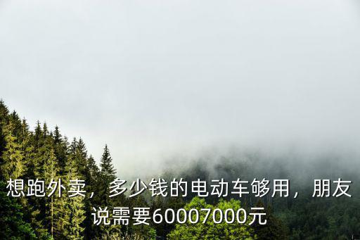 想跑外賣，多少錢的電動(dòng)車夠用，朋友說需要60007000元