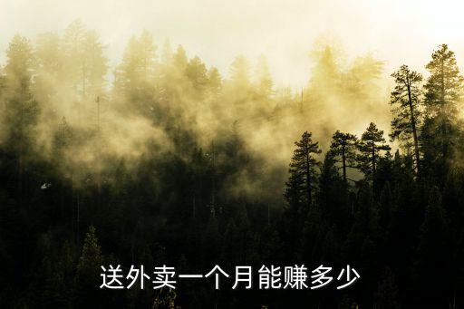 南京仙林送外賣一個月多少單,送外賣一個月能賺多少