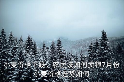 小麥價格下跌，農民該如何賣糧7月份小麥價格走勢如何