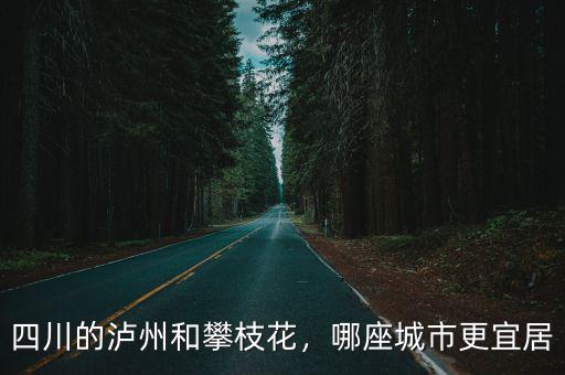 四川的瀘州和攀枝花，哪座城市更宜居