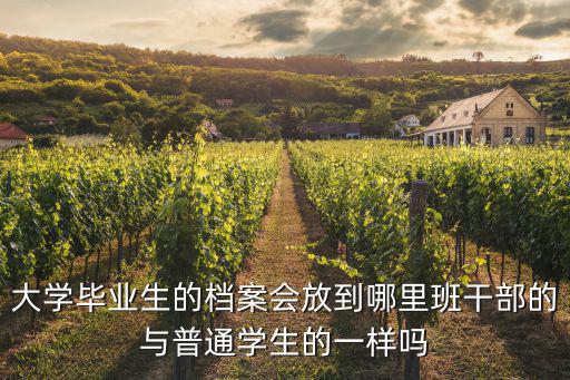 南陽的大學畢業生檔案在哪里,大學畢業生的檔案會放到哪里