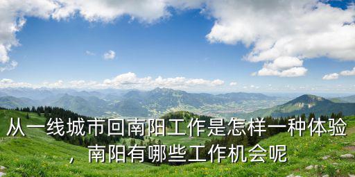 從一線城市回南陽工作是怎樣一種體驗，南陽有哪些工作機會呢