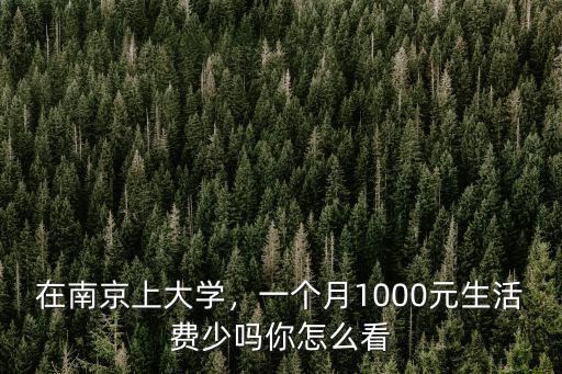 南京親戚生活費一般多少,一個月需要多少生活費