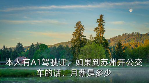 蘇州公交車司機(jī)多少錢,如果到蘇州開公交車的話