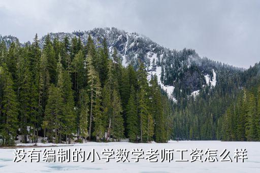 沒有編制的小學數學老師工資怎么樣
